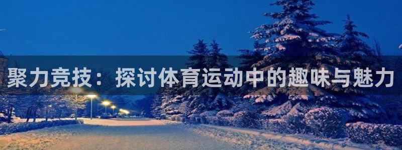 聚力竞技：探讨体育运动中的趣味与魅力