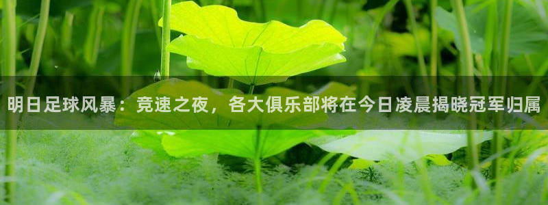 明日足球风暴：竞速之夜，各大俱乐部将在今日凌晨揭晓冠军归属